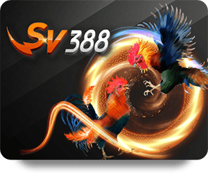 Tại Sao RR88 Tỷ Lệ Vàng Được Các Nhà Cái Ưa Chuộng
